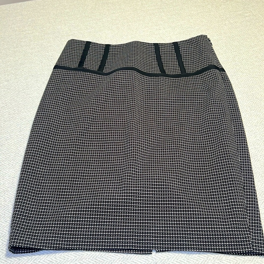 THE LIMITED  Collection Skirt.  Size 8